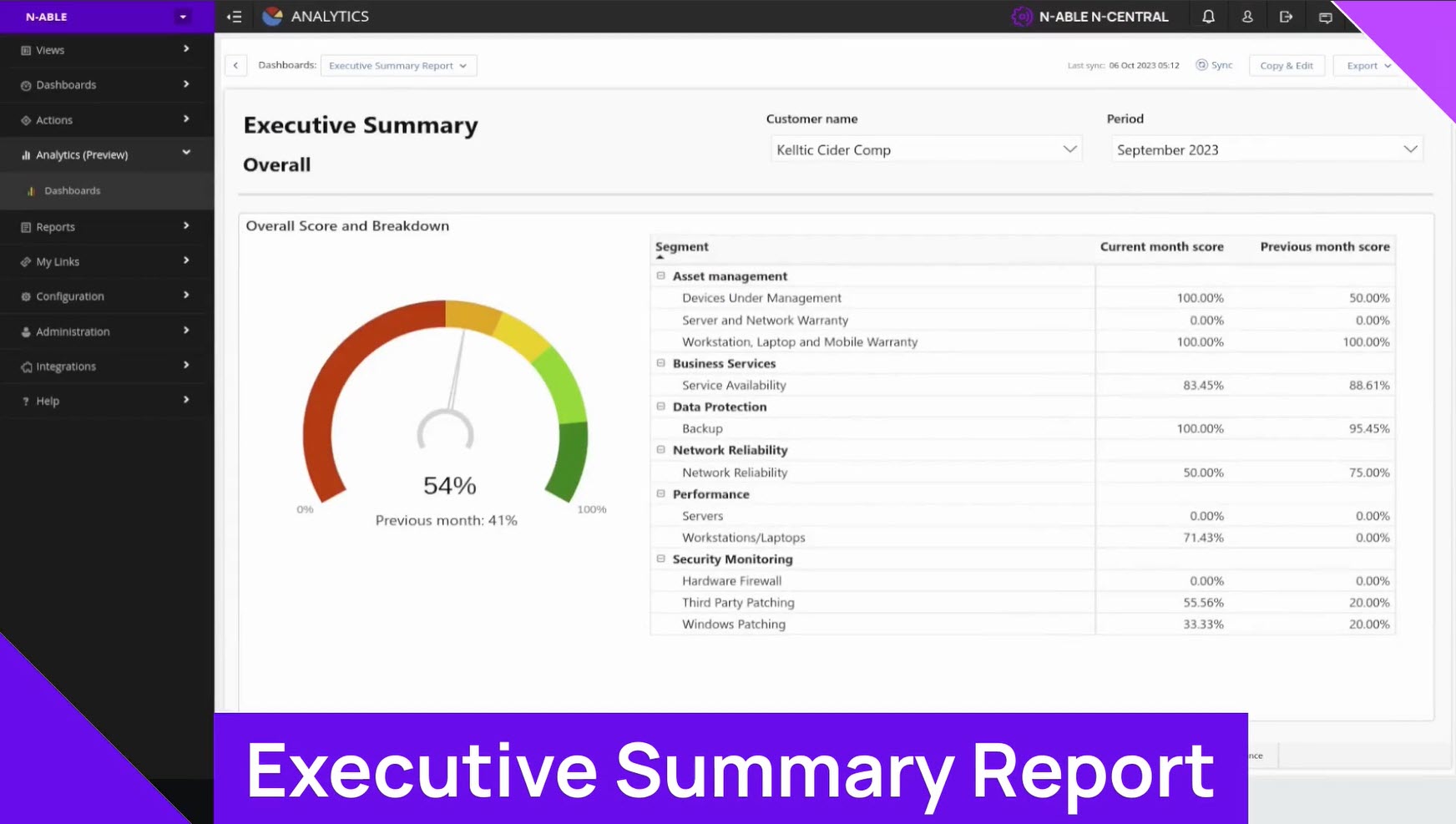 executive summary report