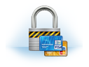 Wildcard SSL Zertifikat, AlphaSSL, Domain-Validated
